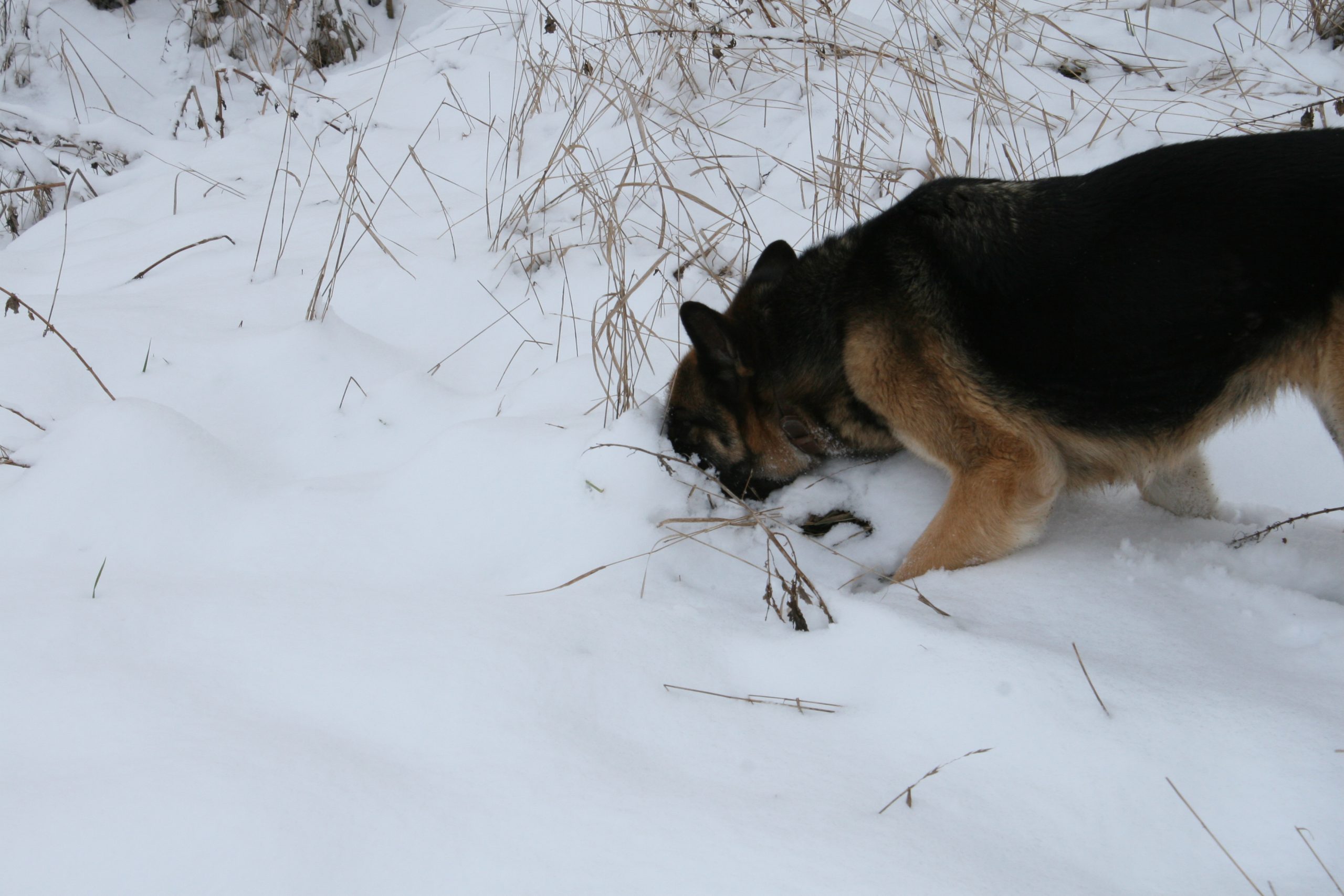 Önkormányzati hírek